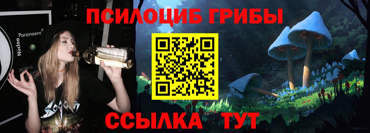 Галлюциногенные грибы Psilocybe  Псилоцибиновые грибы Psilocybine cubensis  Клин  Вход с VPN 